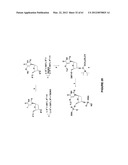 Novel Compounds and Derivatizations of DNAs and RNAs on the Nucleobases of     Pyrimidines for Function, Structure and Therapeutics diagram and image