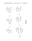 Novel Compounds and Derivatizations of DNAs and RNAs on the Nucleobases of     Pyrimidines for Function, Structure and Therapeutics diagram and image