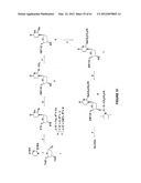 Novel Compounds and Derivatizations of DNAs and RNAs on the Nucleobases of     Pyrimidines for Function, Structure and Therapeutics diagram and image