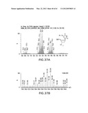 Novel Compounds and Derivatizations of DNAs and RNAs on the Nucleobases of     Pyrimidines for Function, Structure and Therapeutics diagram and image