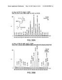 Novel Compounds and Derivatizations of DNAs and RNAs on the Nucleobases of     Pyrimidines for Function, Structure and Therapeutics diagram and image