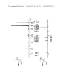 Novel Compounds and Derivatizations of DNAs and RNAs on the Nucleobases of     Pyrimidines for Function, Structure and Therapeutics diagram and image