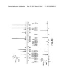 Novel Compounds and Derivatizations of DNAs and RNAs on the Nucleobases of     Pyrimidines for Function, Structure and Therapeutics diagram and image