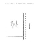 Novel Compounds and Derivatizations of DNAs and RNAs on the Nucleobases of     Pyrimidines for Function, Structure and Therapeutics diagram and image