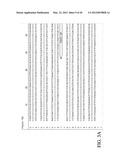 METHODS FOR THE DETECTION AND IDENTIFICATION OF EXTENDED SPECTRUM BETA     LACTAMASES diagram and image