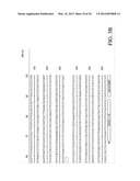 METHODS FOR THE DETECTION AND IDENTIFICATION OF EXTENDED SPECTRUM BETA     LACTAMASES diagram and image