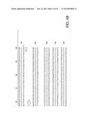METHODS FOR THE DETECTION AND IDENTIFICATION OF EXTENDED SPECTRUM BETA     LACTAMASES diagram and image