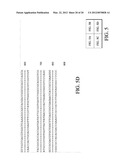 METHODS FOR THE DETECTION AND IDENTIFICATION OF EXTENDED SPECTRUM BETA     LACTAMASES diagram and image