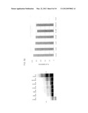 Assay for Telomerase Activity Using Microfluidic Device diagram and image