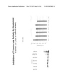 Assay for Telomerase Activity Using Microfluidic Device diagram and image