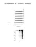 Assay for Telomerase Activity Using Microfluidic Device diagram and image