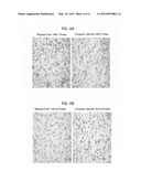 METHODS FOR PRODUCING UNIQUELY DISTINCT NUCLEIC ACID TAGS diagram and image
