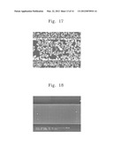 MICROANALYSIS METHODS AND SYSTEMS USING FIELD EFFECT TRANSISTOR diagram and image