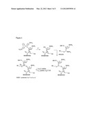 METHOD AND APPARATUS TO FABRICATE POLYMER ARRAYS ON PATTERNED WAFERS USING     ELECTROCHEMICAL SYNTHESIS diagram and image