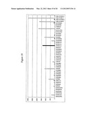 Antibiotic resistance profile for Neisseria gonorrhoeae and use of same in     diagnosis and treatment of gonorrhea diagram and image