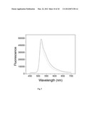 POLYMERIZATION-BASED AMPLIFICATION FOR IMMUNOSTAINING AND BIODETECTION diagram and image