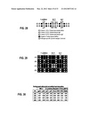 SYSTEM AND METHOD FOR DETECTING MULTIPLE MOLECULES IN ONE ASSAY diagram and image