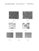 LIQUID DETERGENT COMPOSITION WITH ABRASIVE PARTICLES diagram and image