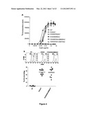 Mutant CyaA Polypeptides and Polypeptide Derivatives Suitable for the     Delivery of Immunogenic Molecules Into a Cell diagram and image