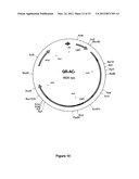 Mutant CyaA Polypeptides and Polypeptide Derivatives Suitable for the     Delivery of Immunogenic Molecules Into a Cell diagram and image