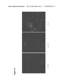 METHODS OF INHIBITING CANCER CELL GROWTH WITH HDAC INHIBITORS AND METHODS     OF SCREENING FOR HDAC10 INHIBITORS diagram and image