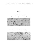 METHODS AND COMPOSITIONS FOR TREATING LUNG CANCER diagram and image