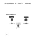 PHARMACEUTICAL COMPOSITION FOR INHALATION diagram and image