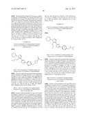 PYRAZOLE OXADIAZOLE DERIVATIVES AS S1P1 AGONISTS diagram and image