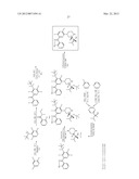 PYRAZOLOPYRIDINE KINASE INHIBITORS diagram and image