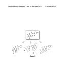 BENZOFURAN-4,5-DIONES AS SELECTIVE PEPTIDE DEFORMYLASE INHIBITORS diagram and image