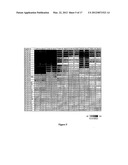 BENZOFURAN-4,5-DIONES AS SELECTIVE PEPTIDE DEFORMYLASE INHIBITORS diagram and image