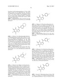 BENZOFURAN-4,5-DIONES AS SELECTIVE PEPTIDE DEFORMYLASE INHIBITORS diagram and image