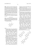 BENZOFURAN-4,5-DIONES AS SELECTIVE PEPTIDE DEFORMYLASE INHIBITORS diagram and image