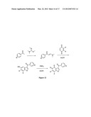 BENZOFURAN-4,5-DIONES AS SELECTIVE PEPTIDE DEFORMYLASE INHIBITORS diagram and image