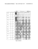 BENZOFURAN-4,5-DIONES AS SELECTIVE PEPTIDE DEFORMYLASE INHIBITORS diagram and image