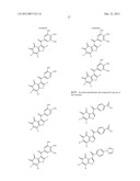 BENZOFURAN-4,5-DIONES AS SELECTIVE PEPTIDE DEFORMYLASE INHIBITORS diagram and image