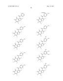 BENZOFURAN-4,5-DIONES AS SELECTIVE PEPTIDE DEFORMYLASE INHIBITORS diagram and image