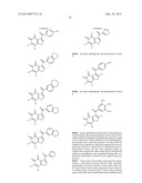 BENZOFURAN-4,5-DIONES AS SELECTIVE PEPTIDE DEFORMYLASE INHIBITORS diagram and image