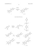 BENZOFURAN-4,5-DIONES AS SELECTIVE PEPTIDE DEFORMYLASE INHIBITORS diagram and image