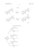 BENZOFURAN-4,5-DIONES AS SELECTIVE PEPTIDE DEFORMYLASE INHIBITORS diagram and image