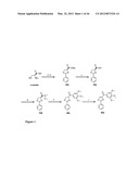 COMPOUNDS FOR TREATMENT OF CANCER diagram and image