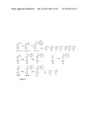 COMPOUNDS FOR TREATMENT OF CANCER diagram and image