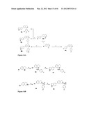 COMPOUNDS FOR TREATMENT OF CANCER diagram and image