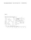 METHODS OF QUANTIFYING N2-(1-CARBOXYETHYL)-2 -DEOXY-GUANOSINE (CEdG) AND     SYNTHESIS OF OLIGONUCLEOTIDES CONTAINING CEdG diagram and image