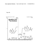 METHODS OF QUANTIFYING N2-(1-CARBOXYETHYL)-2 -DEOXY-GUANOSINE (CEdG) AND     SYNTHESIS OF OLIGONUCLEOTIDES CONTAINING CEdG diagram and image