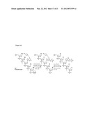 METHODS OF QUANTIFYING N2-(1-CARBOXYETHYL)-2 -DEOXY-GUANOSINE (CEdG) AND     SYNTHESIS OF OLIGONUCLEOTIDES CONTAINING CEdG diagram and image