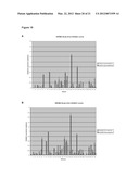 METHODS OF QUANTIFYING N2-(1-CARBOXYETHYL)-2 -DEOXY-GUANOSINE (CEdG) AND     SYNTHESIS OF OLIGONUCLEOTIDES CONTAINING CEdG diagram and image