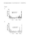 METHODS OF QUANTIFYING N2-(1-CARBOXYETHYL)-2 -DEOXY-GUANOSINE (CEdG) AND     SYNTHESIS OF OLIGONUCLEOTIDES CONTAINING CEdG diagram and image