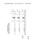 Pyridyldiamido Transition Metal Complexes, Production And Use Thereof diagram and image