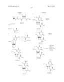 NUCLEIC ACID CHEMICAL MODIFICATIONS diagram and image